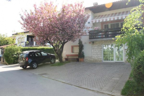 Отель Rooms Jurca, Постойна